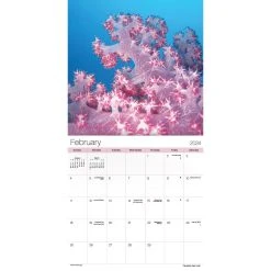 Ocean Life 2024 Wall Calendar -Calendars Sales Store 007588b2 1a0c 4af8 9f49 15d09d8bafd3
