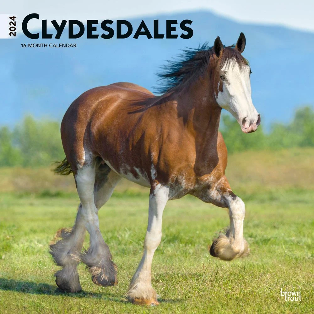 Clydesdales 2024 Wall Calendar 3 Clydesdales 2024 Wall Calendar