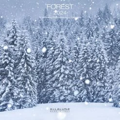 Forest 2024 Wall Calendar