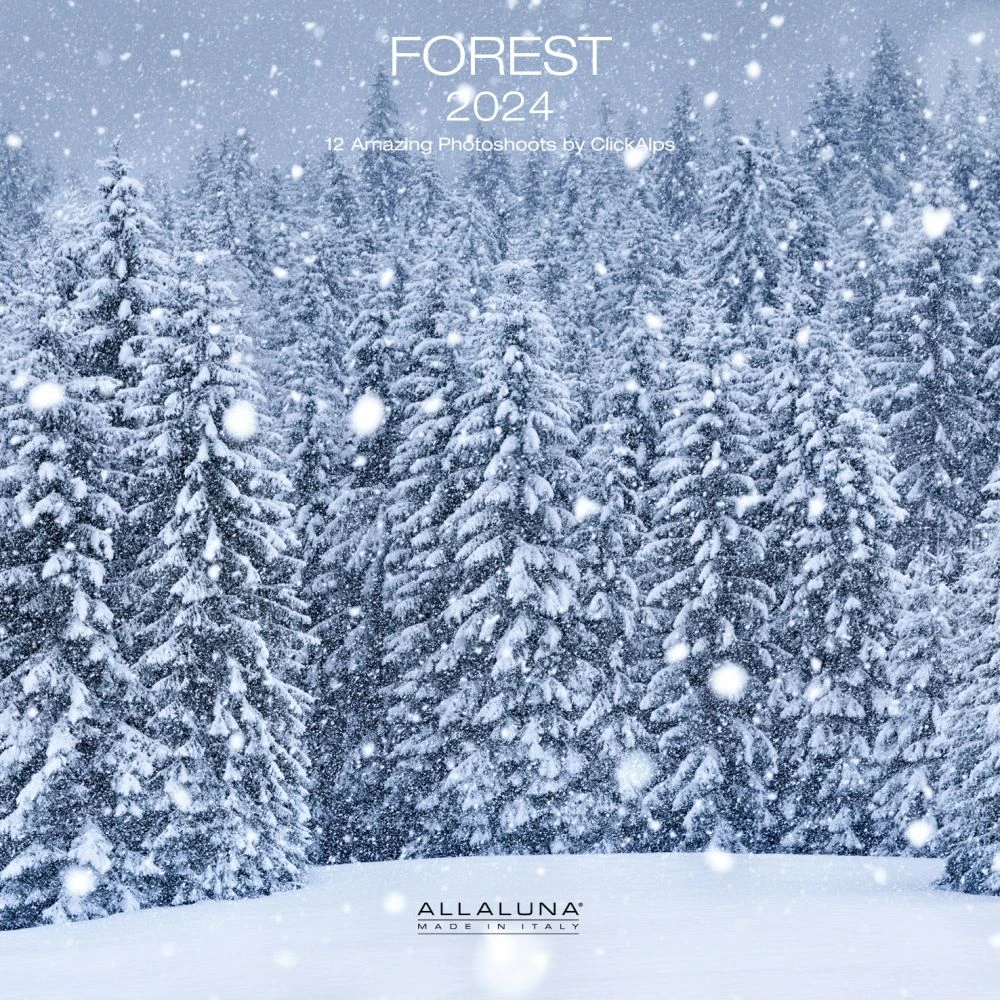 Forest 2024 Wall Calendar 3 Forest 2024 Wall Calendar