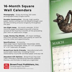Yoga Cats 2024 Wall Calendar 14 Yoga Cats 2024 Wall Calendar -Calendars Sales Store 021ec996 092b 4d6e bbc6 32fa056b5a6d