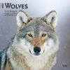Wolves 2024 Wall Calendar -Calendars Sales Store 02a077fa 3e20 42fd 91dc 80f36a7b720b