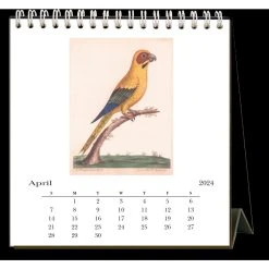 Parrots 2024 Easel Desk Calendar -Calendars Sales Store 02b3efbe a71e 4e28 bacf da06ff2f6624