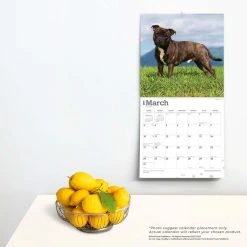 Staffordshire Bull Terriers 2024 Wall Calendar -Calendars Sales Store 03f14fd2 9cb4 4eee 89f0 698329940bfa