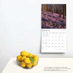 Cascades 2024 Wall Calendar -Calendars Sales Store 041ddf7b ad7e 4b82 8bd0 21d3ca668cd5