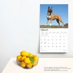 Boxers Deluxe 2024 Wall Calendar -Calendars Sales Store 04604639 bbde 4b0f 8d08 2891bf416b97
