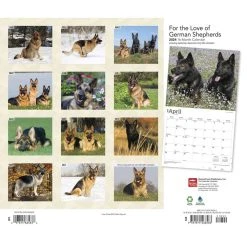German Shepherds Deluxe 2024 Wall Calendar -Calendars Sales Store 0472b2a4 f8a3 4dc5 8147 20d08eddc8bd