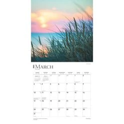 Simplicity 2024 Wall Calendar -Calendars Sales Store 058efa36 8385 41b0 8736 91cdad1ea743
