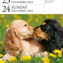 Dog Gallery 2024 Desk Calendar Refill Pack -Calendars Sales Store 058fa22d 8042 464b ae71 3dcf57e41111