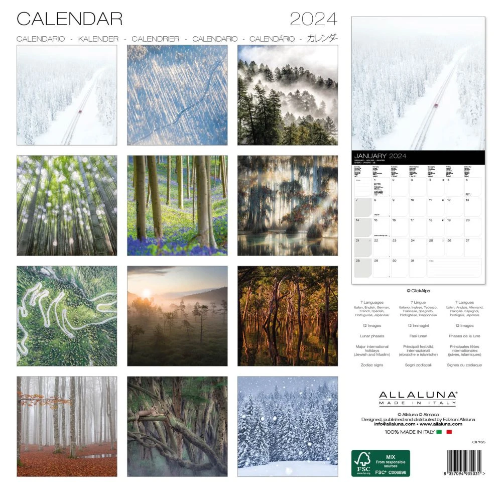Forest 2024 Wall Calendar 4 Forest 2024 Wall Calendar - Image 2