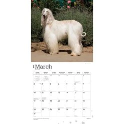 Afghans 2024 Wall Calendar -Calendars Sales Store 083941d5 94e1 4201 8a96 623f1220f655