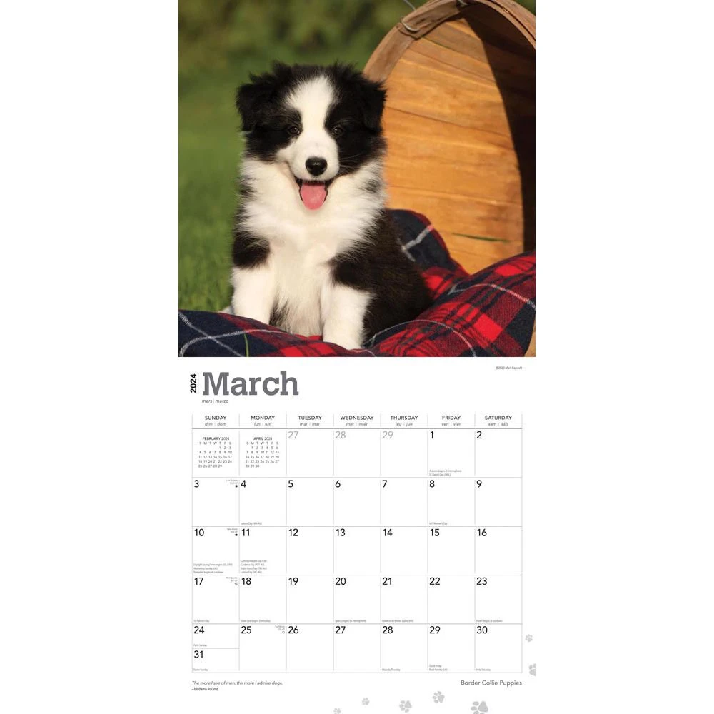 Border Collie Puppies 2024 Wall Calendar 5 Border Collie Puppies 2024 Wall Calendar - Image 3