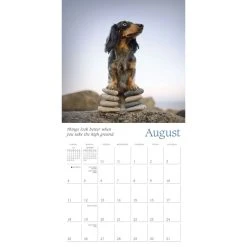 Dogma 2024 Wall Calendar -Calendars Sales Store 09ddbd1e 559d 49d7 83c6 b8a925dca171