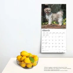 Shih Tzu 2024 Wall Calendar -Calendars Sales Store 0af513f1 8b14 493e b86b 376e8ebe6205