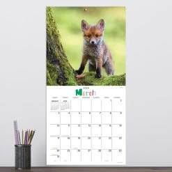 Baby Animals - Wildlife 2024 Wall Calendar -Calendars Sales Store 0b03d6bf ed24 4879 bfc0 dcfdaaeff4de