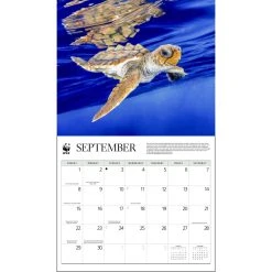 Baby Animals WWF 2024 Wall Calendar 8 Baby Animals WWF 2024 Wall Calendar -Calendars Sales Store 0b2fd3a4 e77b 4ee5 91db 2a818e6cae91