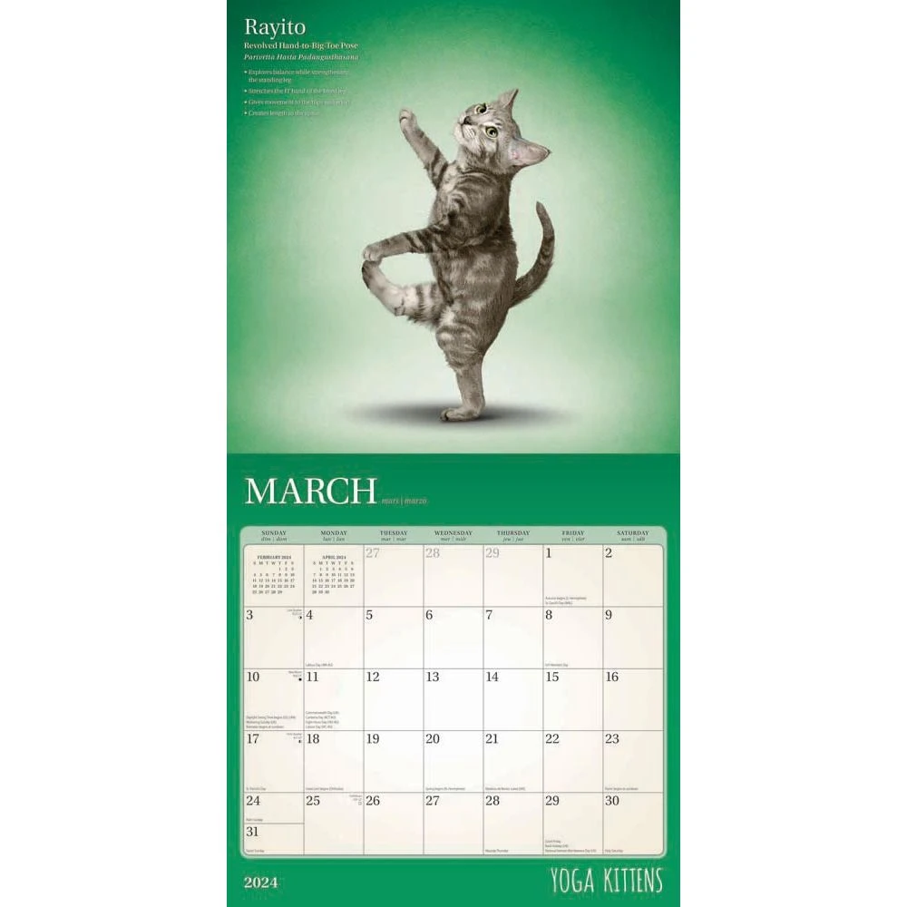 Yoga Kittens 2024 Wall Calendar 5 Yoga Kittens 2024 Wall Calendar - Image 3