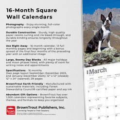 Boston Terriers 2024 Wall Calendar -Calendars Sales Store 0bfab1e5 ceaf 4ff2 a947 3db63f5402f8