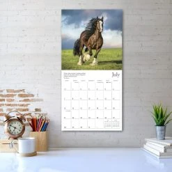 Spirited Horse 2024 Wall Calendar -Calendars Sales Store 0c3ec32b 41e4 471d 868d 967441276cc7