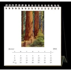 California Nostalgic 2024 Easel Desk Calendar -Calendars Sales Store 0c85d82c 74f9 4fe6 9542 2316dae0049c