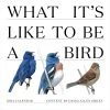 What Its Like To Be A Bird 2024 Wall Calendar -Calendars Sales Store 0caa3e4f db5b 4d90 af34 bf06959b752f