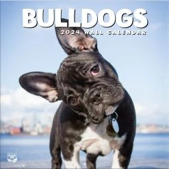 Bulldogs 2024 Wall Calendar