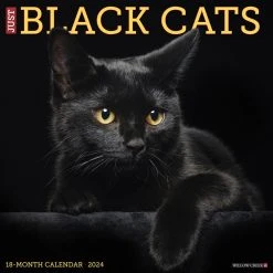 Just Black Cats 2024 Wall Calendar