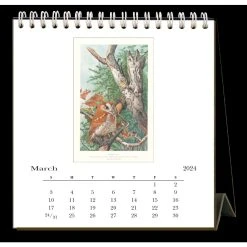 Owls 2024 Easel Desk Calendar -Calendars Sales Store 0e9d5819 fd4b 4da1 aa7b 5a946123d23f