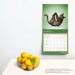Yoga Cats 2024 Wall Calendar 13 Yoga Cats 2024 Wall Calendar -Calendars Sales Store 0f78ba0e 488c 4e79 ba67 8e360e087aa3