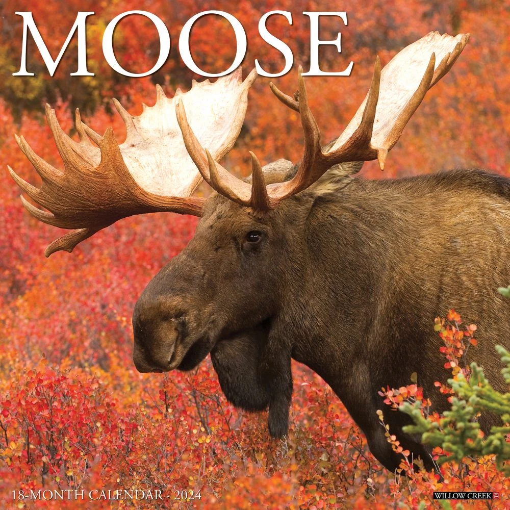 Just Moose 2024 Wall Calendar 3 Just Moose 2024 Wall Calendar