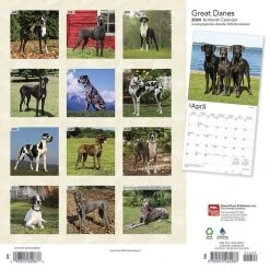 Great Danes International 2024 Wall Calendar -Calendars Sales Store 100a3f04 df2e 4c25 bab8 539f64dbe13b