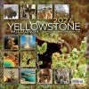 Yellowstone 2024 Wall Calendar -Calendars Sales Store 10e707dc f053 48b2 b1bd 56d3a7d064ca