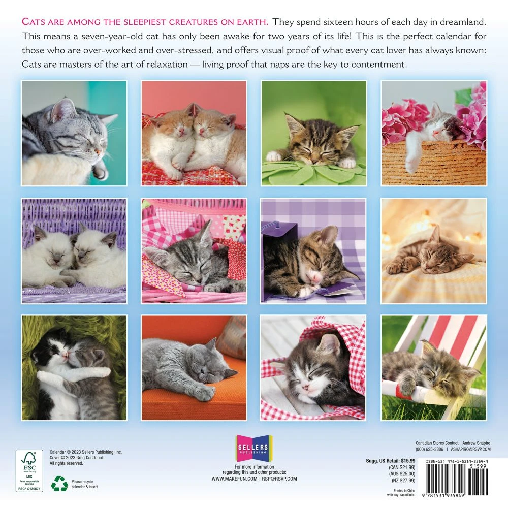 Cat Naps 2024 Wall Calendar 4 Cat Naps 2024 Wall Calendar - Image 2