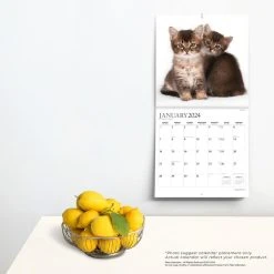 Happy Kittens 2024 Wall Calendar -Calendars Sales Store 13dddf63 7a6a 4e3a ad03 0b7bba6ba33f