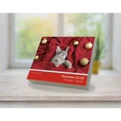 Cat Naps 2024 Desk Calendar -Calendars Sales Store 1478759b bc0a 4cfe a87c 257691add920