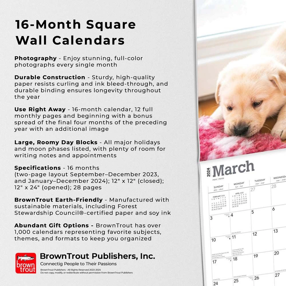 Yellow Lab Retriever Puppies 2024 Wall Calendar 7 Yellow Lab Retriever Puppies 2024 Wall Calendar - Image 5