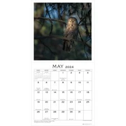 Soul Of The Forest 2024 Wall Calendar -Calendars Sales Store 161fbbc7 7355 4882 8c38 dccd3a5fe976