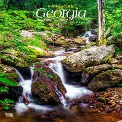 Georgia Wild And Scenic 2024 Wall Calendar
