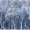 Woodland 2024 Wall Calendar