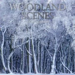 Woodland 2024 Wall Calendar