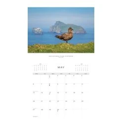 Scottish Wildlife 2024 Wall Calendar -Calendars Sales Store 17075869 3402 4cba b37e d110a8c19b75