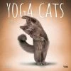 Yoga Cats 2024 Wall Calendar 1 Yoga Cats 2024 Wall Calendar -Calendars Sales Store 171b336a 2346 41a5 a0b0 102a6f0e27d9
