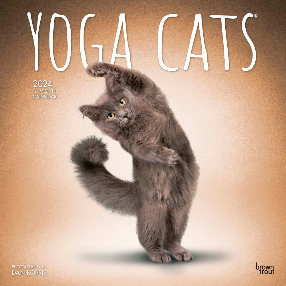 Yoga Cats 2024 Wall Calendar 3 Yoga Cats 2024 Wall Calendar