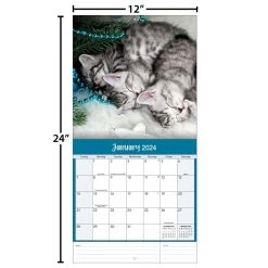 Curious Kittens 2024 Wall Calendar -Calendars Sales Store 1737c59b e601 4dc8 9d0d 86f983c2375f