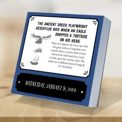 Insane But True 2024 Desk Calendar -Calendars Sales Store 178513b6 3677 484a b348 c89c2912cf8a