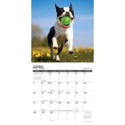 What Dogs Teach Us 2024 Wall Calendar -Calendars Sales Store 179736c8 093f 41ec 92f8 1d5d83f23858