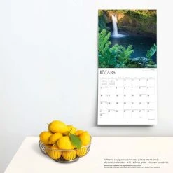 Iles Tropicales 2024 Wall Calendar -Calendars Sales Store 17e68cd9 ccfa 4766 b582 2c9f35fabe90