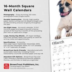 American Bulldogs 2024 Wall Calendar -Calendars Sales Store 1803c867 74a3 4288 9b4e 376932a8254f
