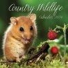 Country Wildlife 2024 Wall Calendar -Calendars Sales Store 188585ad 7105 40fa a13b 1b4ebae4d7a3