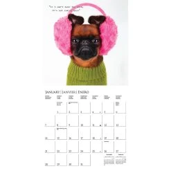 Pawparazzi 2024 Wall Calendar -Calendars Sales Store 18b0986c 168b 4eed a026 36235d652435